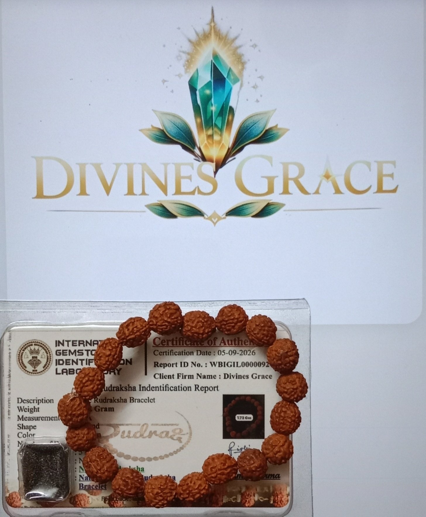 Natural Rudraksh Bracelet (ORDER and Get FREE 10 Minutes of consultation) thumbnail 2