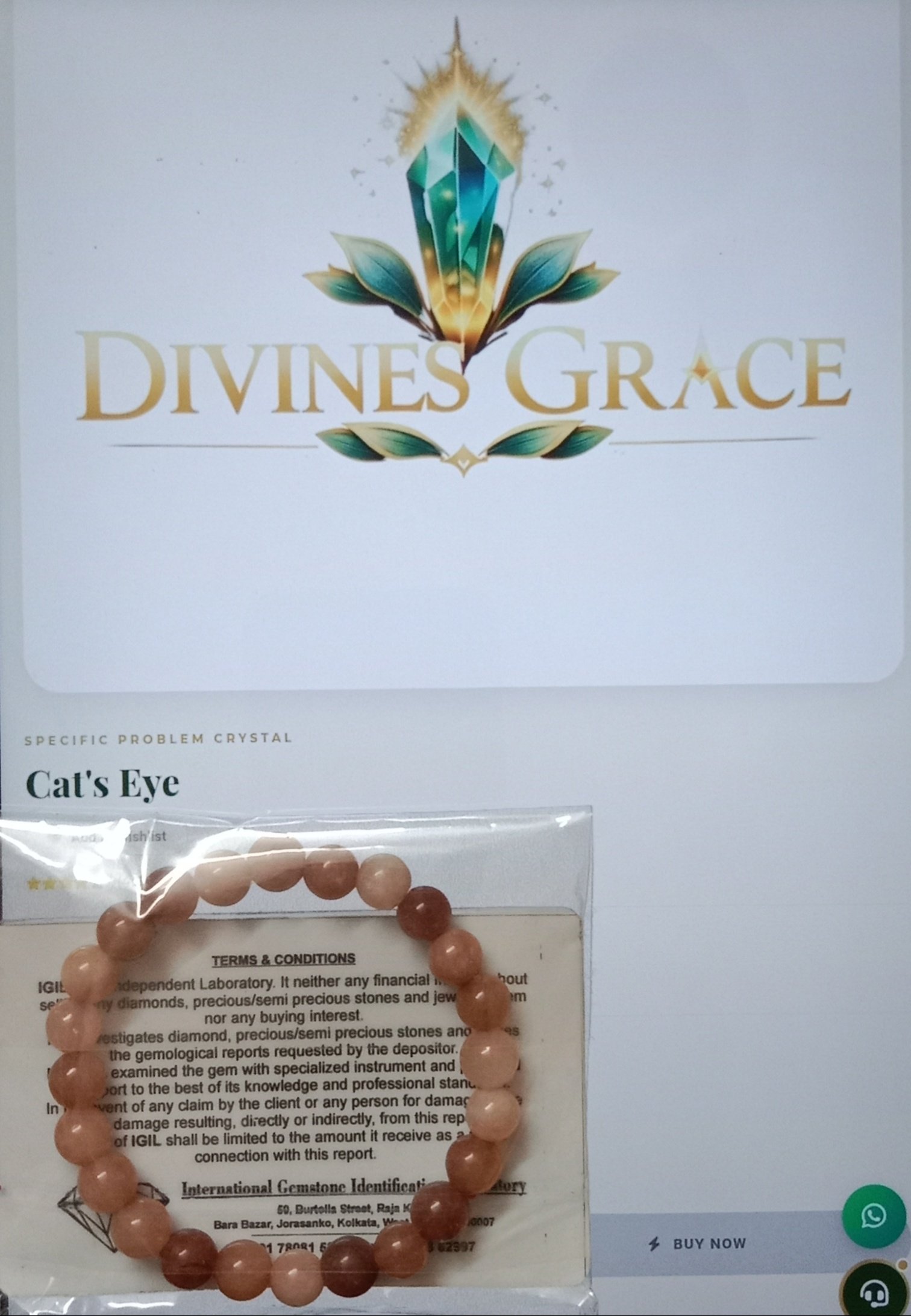 Cat's Eye (ORDER and Get FREE 10 Minutes of consultation) thumbnail 3
