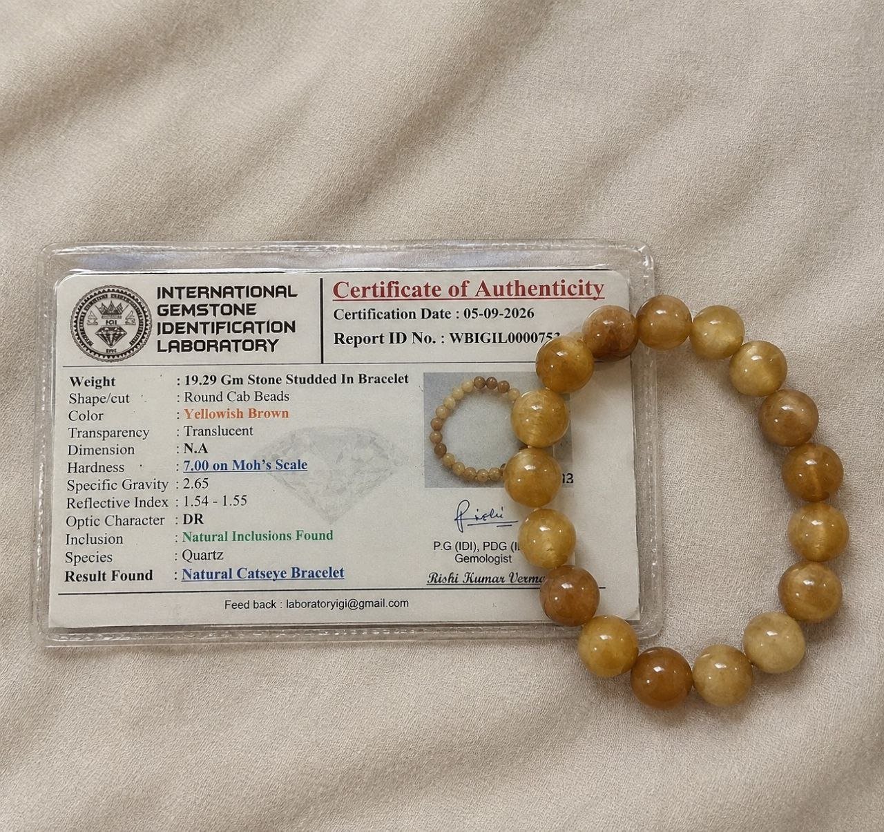 Cat's Eye (ORDER and Get FREE 10 Minutes of consultation)